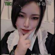 ヒメ日記 2025/09/20 14:59 投稿 みひろ アリスカフェ