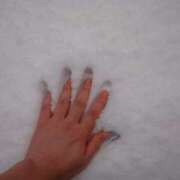 ヒメ日記 2026/02/08 09:22 投稿 かえで プールサイド