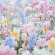 ヒメ日記 2025/04/11 17:20 投稿 のぞみ 丸の内