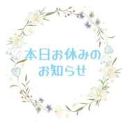 ヒメ日記 2025/04/23 10:35 投稿 のぞみ 丸の内