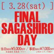ヒメ日記 2026/03/28 07:42 投稿 手嶋(てじま) 相模原人妻城