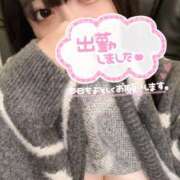 ヒメ日記 2024/12/27 12:03 投稿 みみ 白いぽっちゃりさん錦糸町店