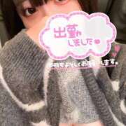 ヒメ日記 2025/02/09 12:03 投稿 みみ 白いぽっちゃりさん錦糸町店