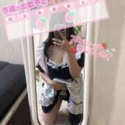 ヒメ日記 2025/04/01 23:07 投稿 みみ 白いぽっちゃりさん錦糸町店