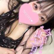 ヒメ日記 2025/04/13 09:07 投稿 みみ 白いぽっちゃりさん錦糸町店