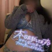 ヒメ日記 2025/04/18 11:58 投稿 みみ 白いぽっちゃりさん錦糸町店