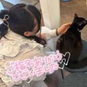 ヒメ日記 2025/09/20 22:27 投稿 みみ 白いぽっちゃりさん錦糸町店