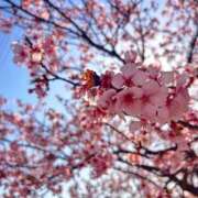 ヒメ日記 2026/03/29 06:31 投稿 えま Blue Lagoon(ブルーラグーン)