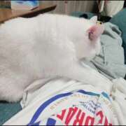 ヒメ日記 2025/09/20 01:27 投稿 まなみ Grace東京