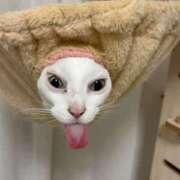 ヒメ日記 2026/01/01 19:47 投稿 まなみ Grace東京