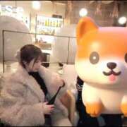 ヒメ日記 2026/01/28 22:44 投稿 まなみ Grace東京