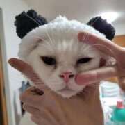 ヒメ日記 2026/01/30 19:27 投稿 まなみ Grace東京