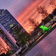 ヒメ日記 2025/06/25 23:38 投稿 あろえ 熟女家 堺東店