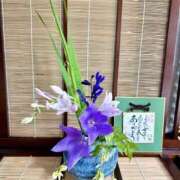 ヒメ日記 2025/08/28 16:27 投稿 あろえ 熟女家 堺東店