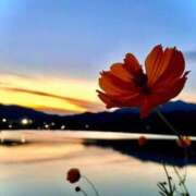 ヒメ日記 2025/10/10 08:47 投稿 あろえ 熟女家 堺東店