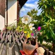 ヒメ日記 2025/10/28 18:27 投稿 あろえ 熟女家 堺東店