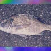 ヒメ日記 2025/05/15 23:43 投稿 武田あい 厚木OL委員会