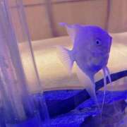 ヒメ日記 2025/06/13 21:33 投稿 武田あい 厚木OL委員会