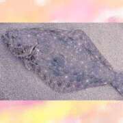 ヒメ日記 2025/06/21 17:53 投稿 武田あい 厚木OL委員会