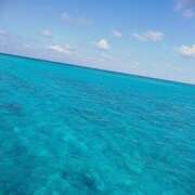 ヒメ日記 2025/08/03 18:33 投稿 武田あい 厚木OL委員会