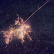 ヒメ日記 2025/08/28 11:23 投稿 武田あい 厚木OL委員会