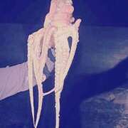 ヒメ日記 2025/09/04 09:13 投稿 武田あい 厚木OL委員会