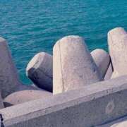 ヒメ日記 2025/09/19 18:53 投稿 武田あい 厚木OL委員会