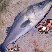 ヒメ日記 2025/09/30 16:03 投稿 武田あい 厚木OL委員会