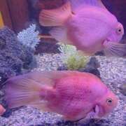 ヒメ日記 2025/10/21 20:53 投稿 武田あい 厚木OL委員会