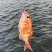 武田あい 傷心中(たぶん) 厚木OL委員会