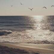 ヒメ日記 2026/03/19 20:43 投稿 武田あい 厚木OL委員会