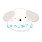 ヒメ日記 2025/05/29 14:36 投稿 まつりか 奥鉄オクテツ大阪