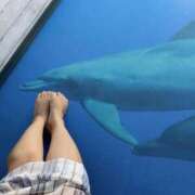 ヒメ日記 2025/08/31 12:05 投稿 寺田まいか 手コキ研修塾