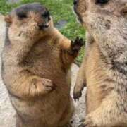 ヒメ日記 2025/07/30 07:45 投稿 詩 京都痴女性感フェチ倶楽部