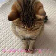 ヒメ日記 2025/02/09 23:44 投稿 桜琴(ミコ) 京都痴女性感フェチ倶楽部