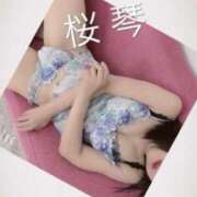 ヒメ日記 2025/03/24 16:07 投稿 桜琴(ミコ) 京都痴女性感フェチ倶楽部