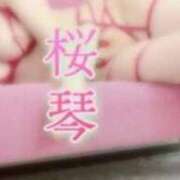 ヒメ日記 2026/03/19 21:34 投稿 桜琴(ミコ) 京都痴女性感フェチ倶楽部