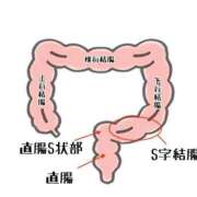ヒメ日記 2025/04/22 11:31 投稿 えり 京都痴女性感フェチ倶楽部