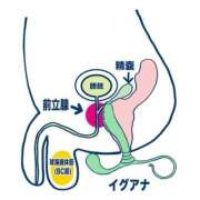 ヒメ日記 2025/04/26 11:50 投稿 えり 京都痴女性感フェチ倶楽部