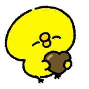 ヒメ日記 2025/02/28 09:44 投稿 ひな 京都痴女性感フェチ倶楽部