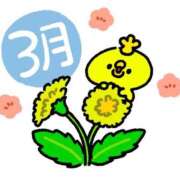 ヒメ日記 2025/03/01 16:04 投稿 ひな 京都痴女性感フェチ倶楽部