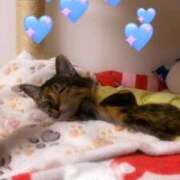 ヒメ日記 2025/04/28 11:54 投稿 コウ 京都痴女性感フェチ倶楽部