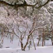 ヒメ日記 2025/12/14 08:14 投稿 りんか 京都痴女性感フェチ倶楽部