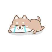 ヒメ日記 2025/02/12 22:14 投稿 ここな 京都痴女性感フェチ倶楽部