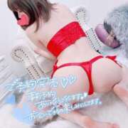 ヒメ日記 2025/03/07 11:34 投稿 ここな 京都痴女性感フェチ倶楽部