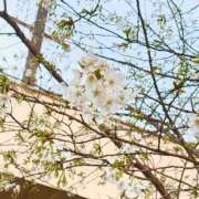 ヒメ日記 2025/03/26 15:54 投稿 ここな 京都痴女性感フェチ倶楽部