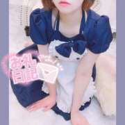 ヒメ日記 2025/04/17 11:14 投稿 ここな 京都痴女性感フェチ倶楽部