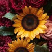 ヒメ日記 2025/03/11 16:57 投稿 りあ 川崎・東横人妻城