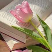 ヒメ日記 2025/04/28 11:42 投稿 りあ 川崎・東横人妻城