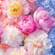 ヒメ日記 2025/06/08 09:33 投稿 りあ 川崎・東横人妻城